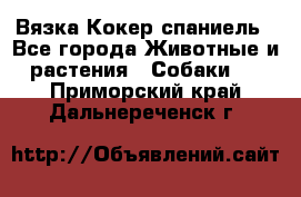 Вязка Кокер спаниель - Все города Животные и растения » Собаки   . Приморский край,Дальнереченск г.